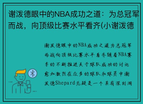 谢泼德眼中的NBA成功之道：为总冠军而战，向顶级比赛水平看齐(小谢泼德)